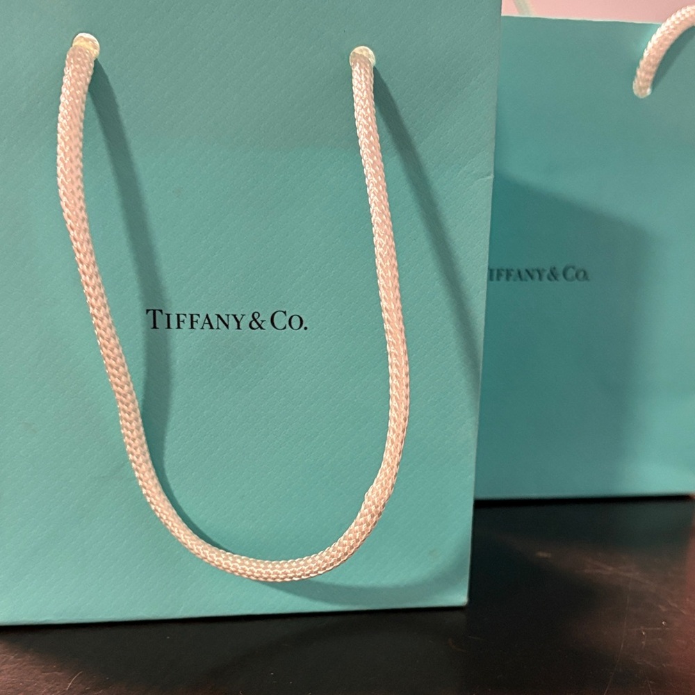 Tiffany & Co. Iconic Blue Small Jewelry Gift Bag (set of 2)